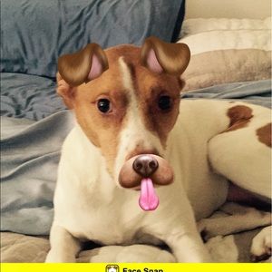 Meet your Posher, Jeffrey