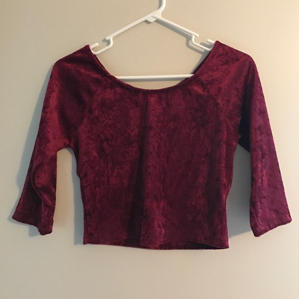 Velvet Crop Top