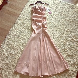 Champagne Pink Strapless Gown NWT