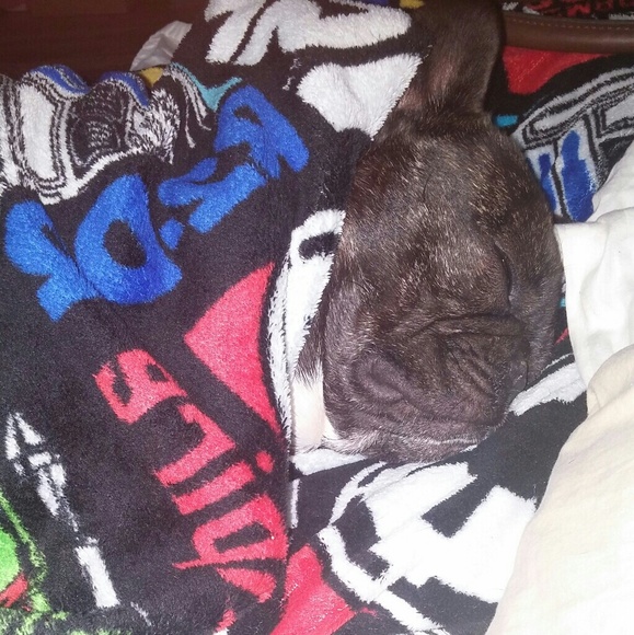 Meet your Posher, Jessica and Yoda bug - Picture 8 of 8