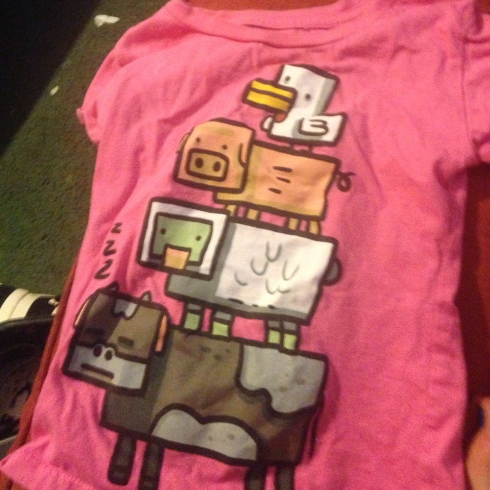 Girls size 4/5 shirt and skirt bundle