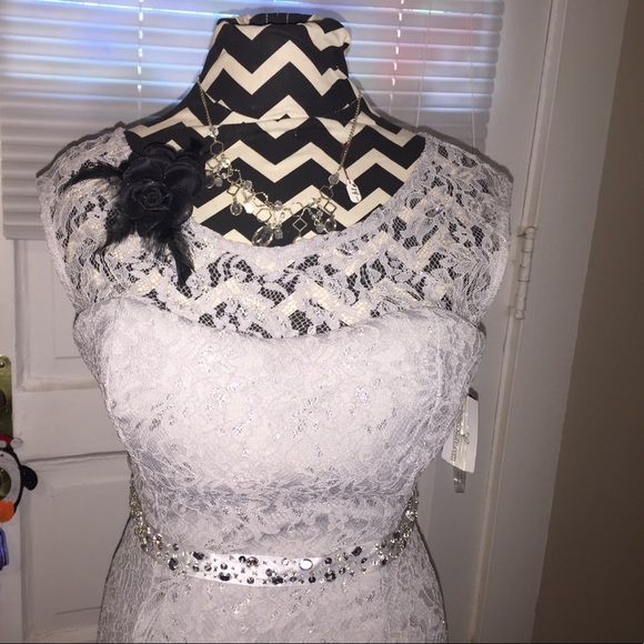 *PRICE DROP *Stunning silver gown BNWT! - Picture 4 of 8