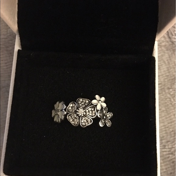 Pandora Jewelry - Pandora shimmering bouquet size 8, 6, 4