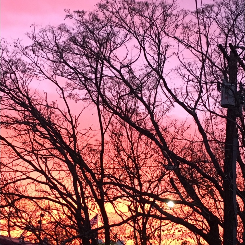 Meet your Posher, Patrick