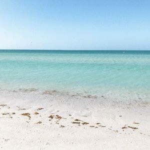 Meet your Posher, Kendall