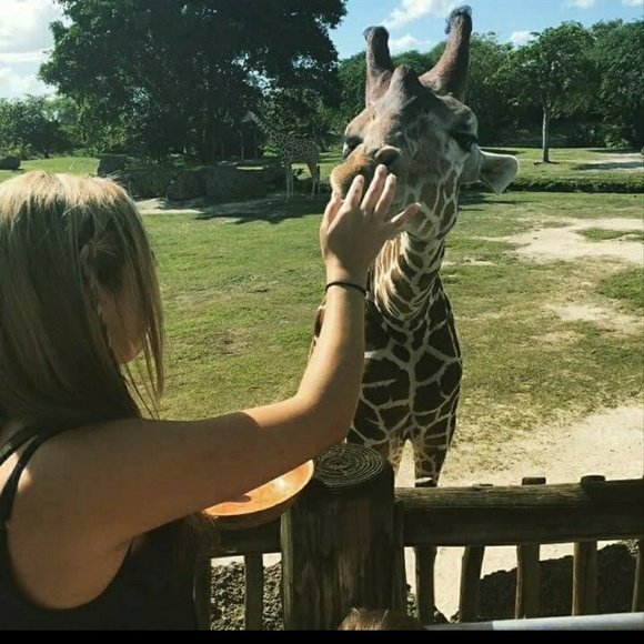 Meet your Posher, Diamond - Picture 2 of 4