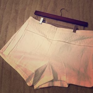 J.Crew Shorts
