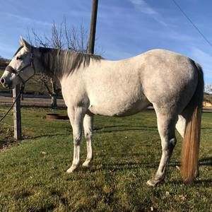 Meet your Posher, Kristi