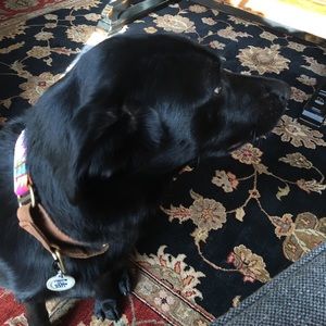 Meet your Posher, Jackie