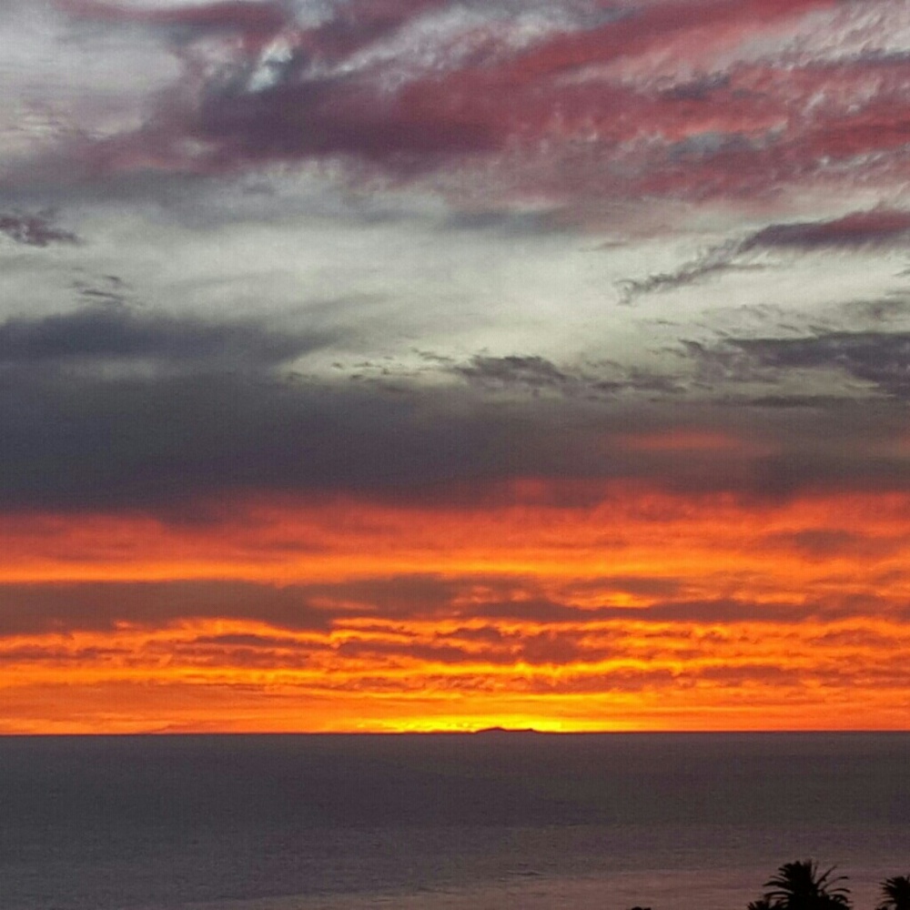 Meet your Posher, Cassandra