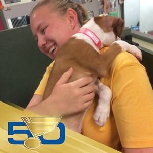 Meet your Posher, Avigayil