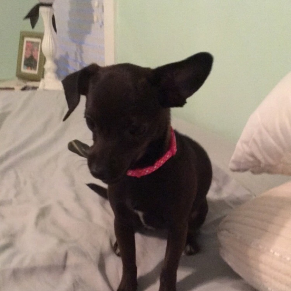 Meet your Posher, Jennifer