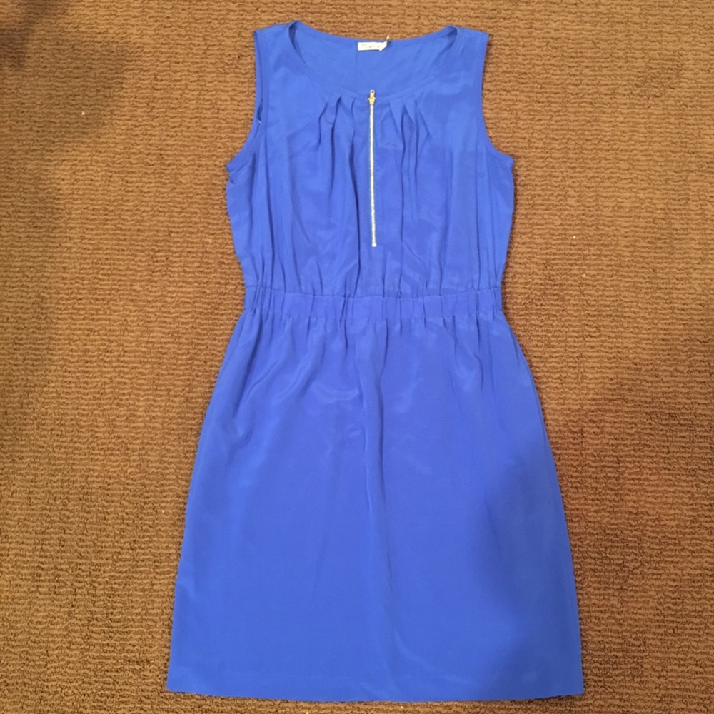 Chic Royal Blue Dress w/ Pockets and Gold Zipper