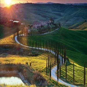 Meet your Posher, Polly