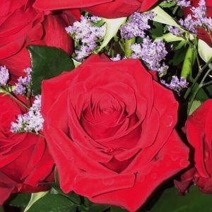 Meet your Posher, Maria