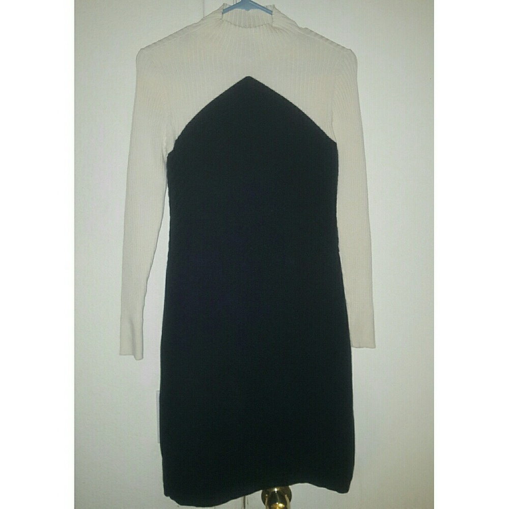 Ann Taylor Funnel Neck Sweater Dress