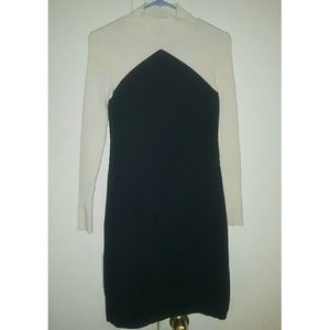 Ann Taylor Funnel Neck Sweater Dress