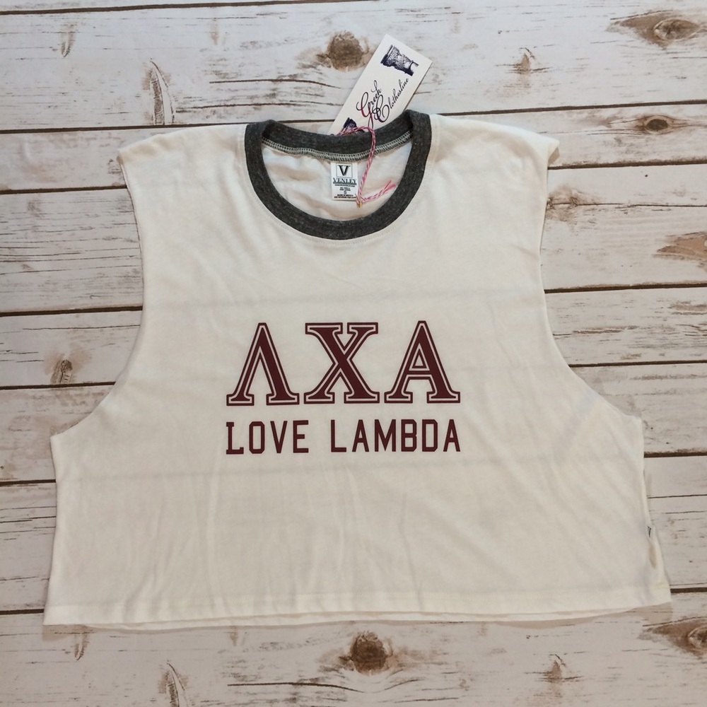 Love Lambda Crop Tee (small)