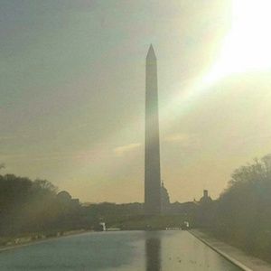 Meet your Posher, Phoebe