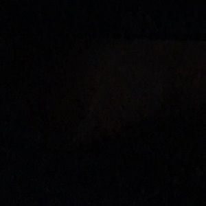 Meet your Posher, Arianna