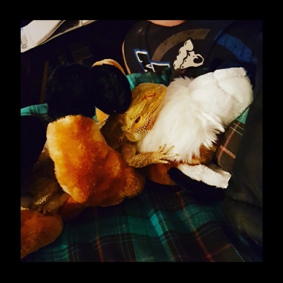 Meet your buyer/seller 💕 - Picture 2 of 3