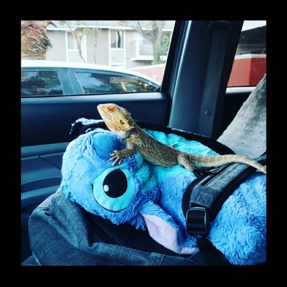 Meet your buyer/seller 💕 - Picture 3 of 3