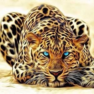 Meet your Posher, Desiree