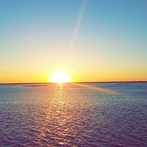 Meet your Posher, Vernice