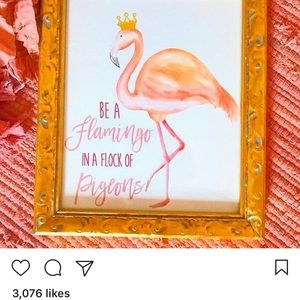 Meet your Posher, Sam