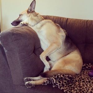 Meet your Posher, Katie