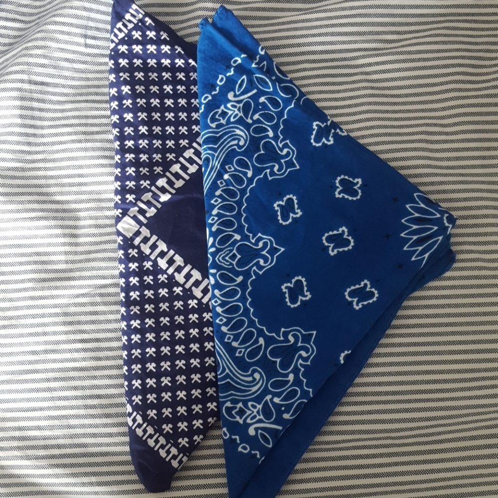 Blue Bandana Set