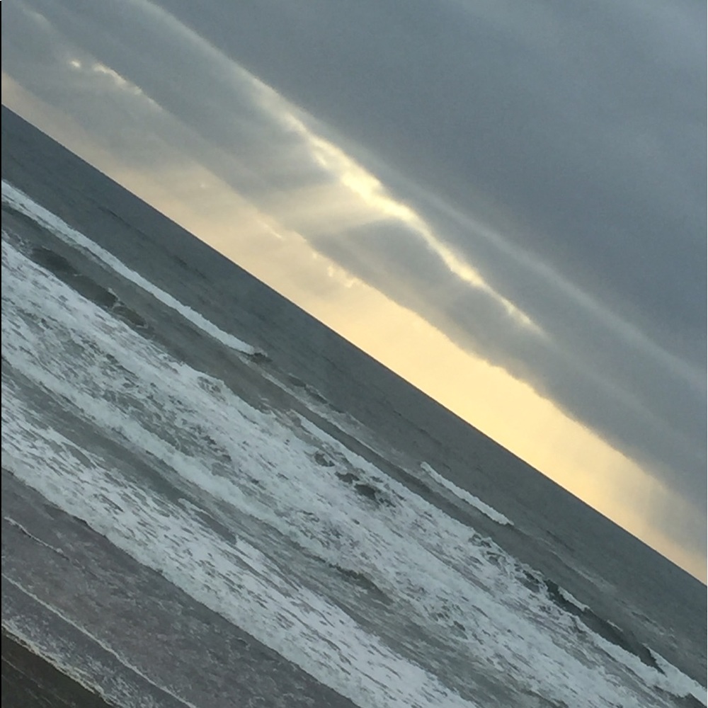 I'm back🌹🌹🌹🌹