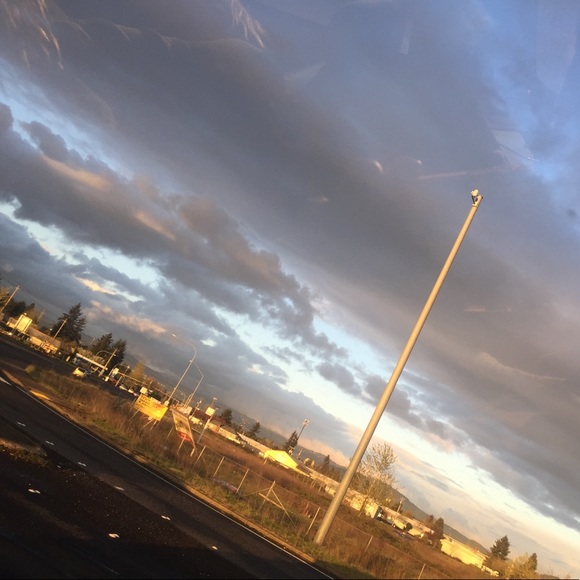 I'm back🌹🌹🌹🌹 - Picture 2 of 3