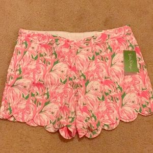 Flamingo Buttercup Shorts