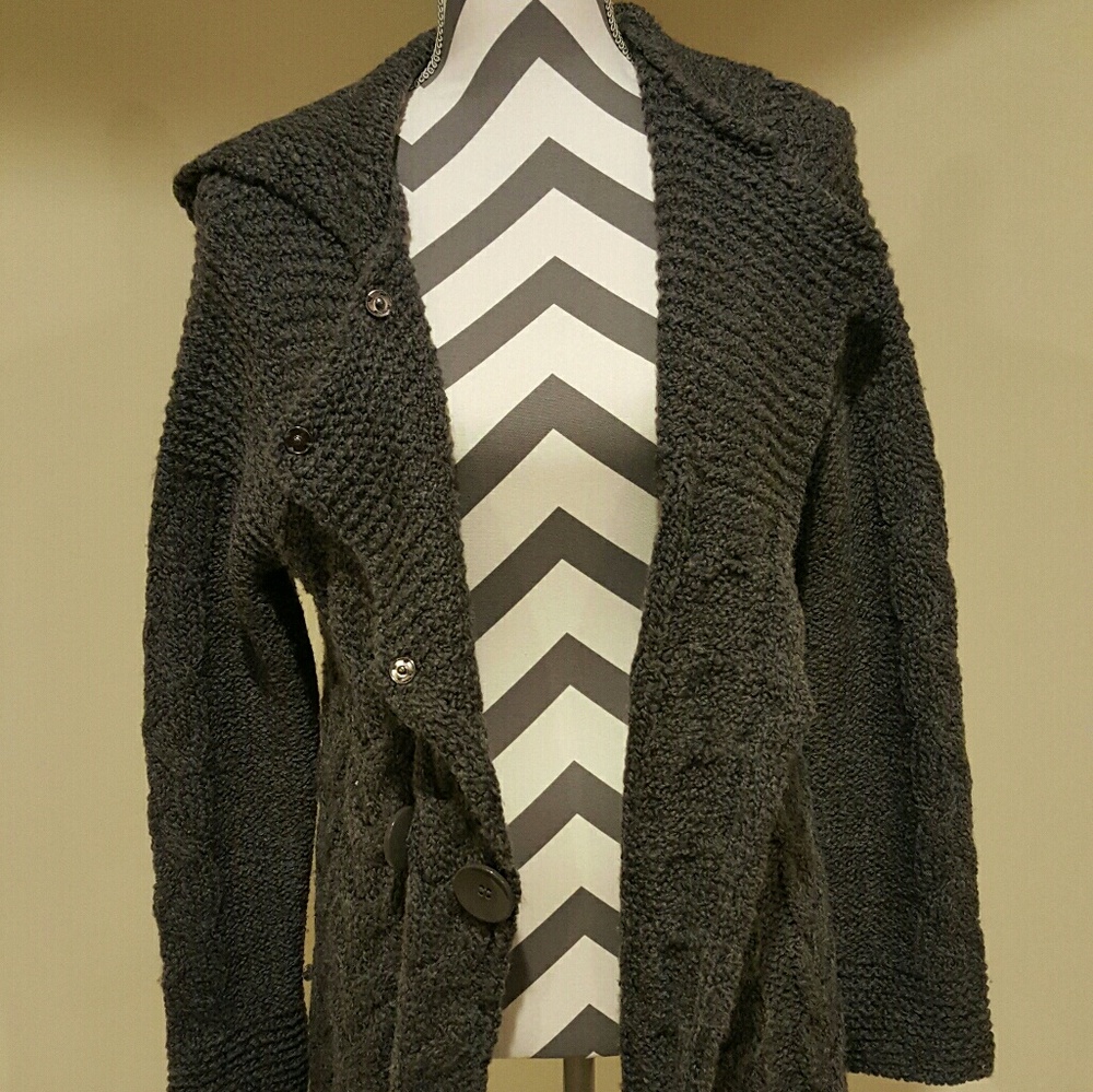BCBG MazAzria Hooded Sweater