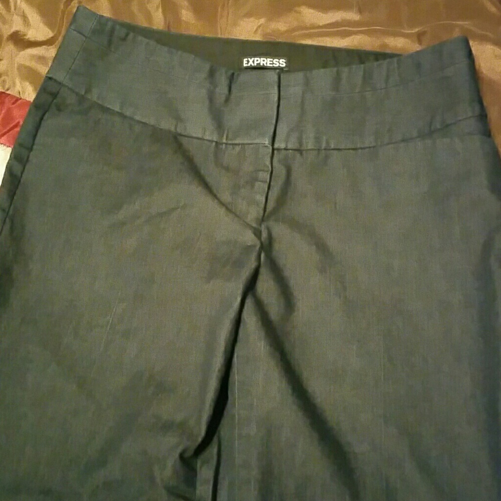 Express Editor Wide Leg Dress pants