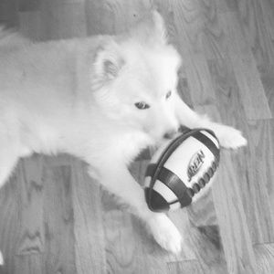 Meet your Posher, Stephenie