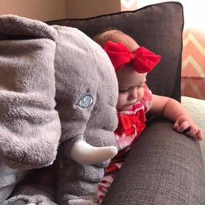 Meet your Posher, Shelly