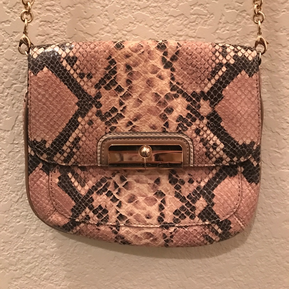 Snakeskin crossbody purse