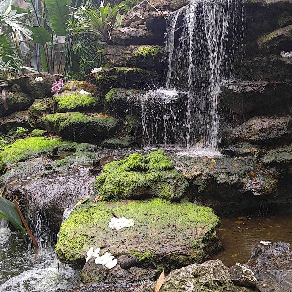 Meet your Posher, Nancy