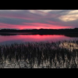 Meet your Posher, Tony