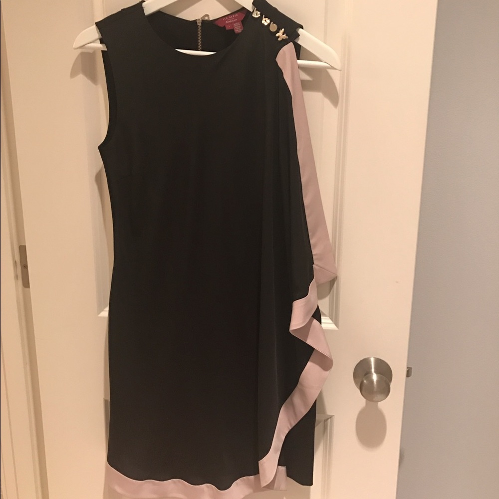 Never worn Ted Baker dress.