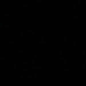 Meet your Posher, Shelly