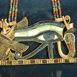 Meet your Posher, Tisha