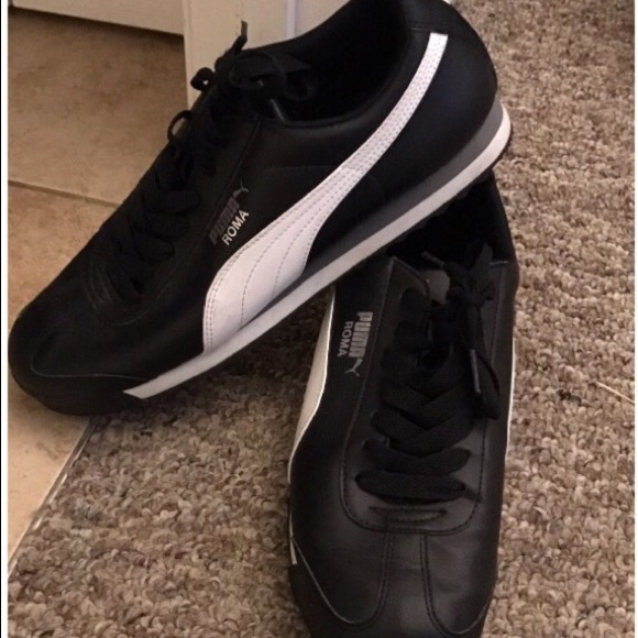 SOLD puma  Roma - Picture 3 of 6