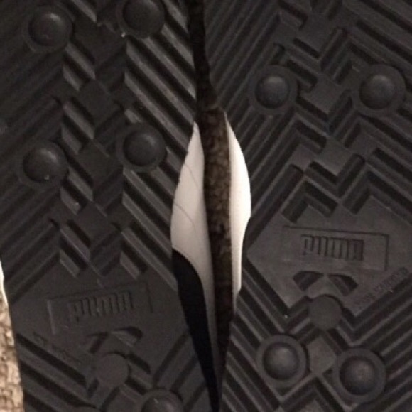 SOLD puma  Roma - Picture 5 of 6