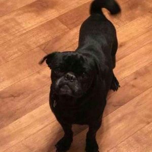 Meet your Posher, Derrick