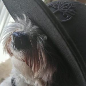 Meet your Posher, Daniela