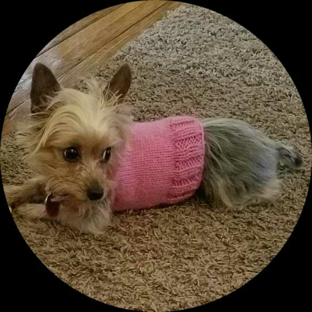 Meet your Posher, Roz