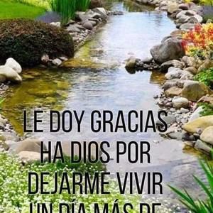 Meet your Posher, Iris